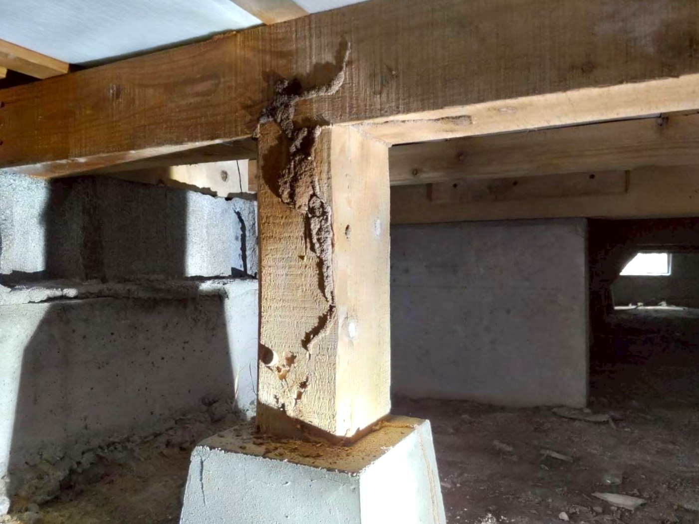 害虫から強盗からも防犯